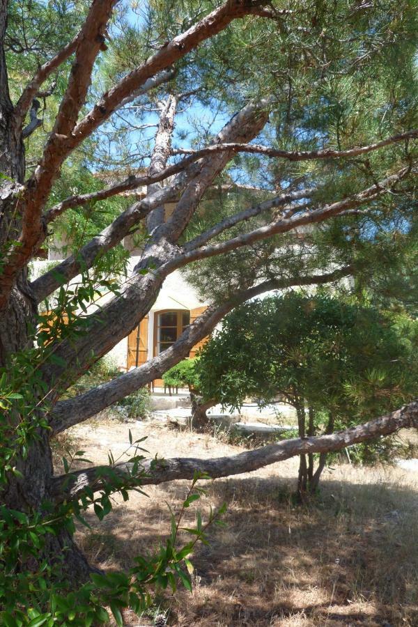 Chez Nous Cassis Bed and Breakfast Buitenkant foto
